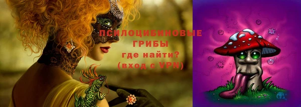 меф Гусев