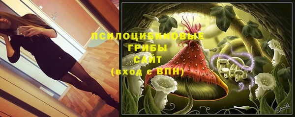 марки lsd Горняк