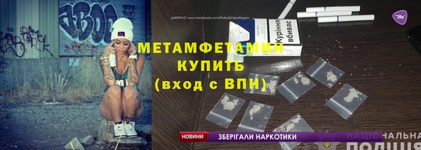 прущие грибы Вязники