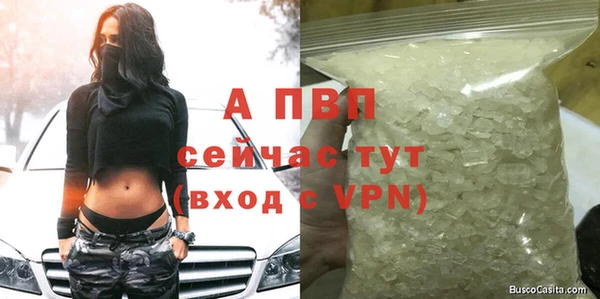 меф Гусев