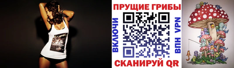 Купить где  Нурлат  Псилоцибиновые грибы Cubensis 